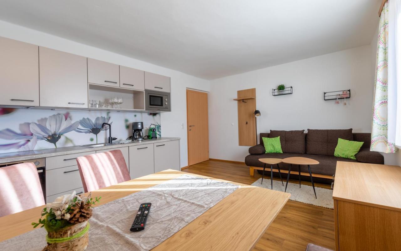 Haus Pitzer/Apartments Troicher Шладминг Екстериор снимка